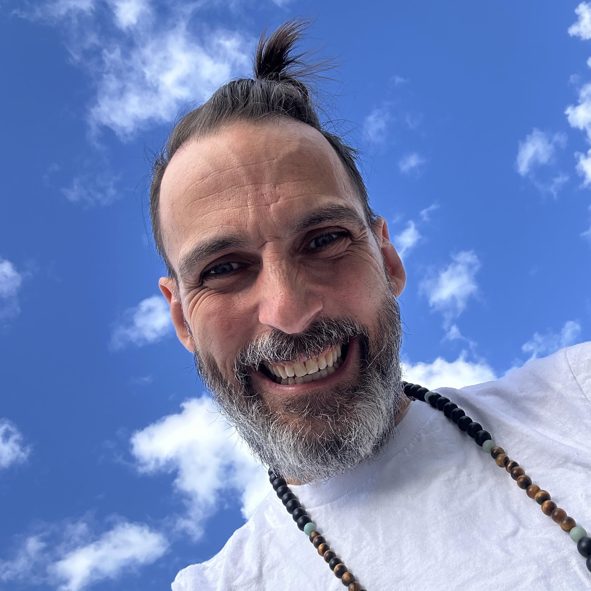 DOMINIC DU BOULAY